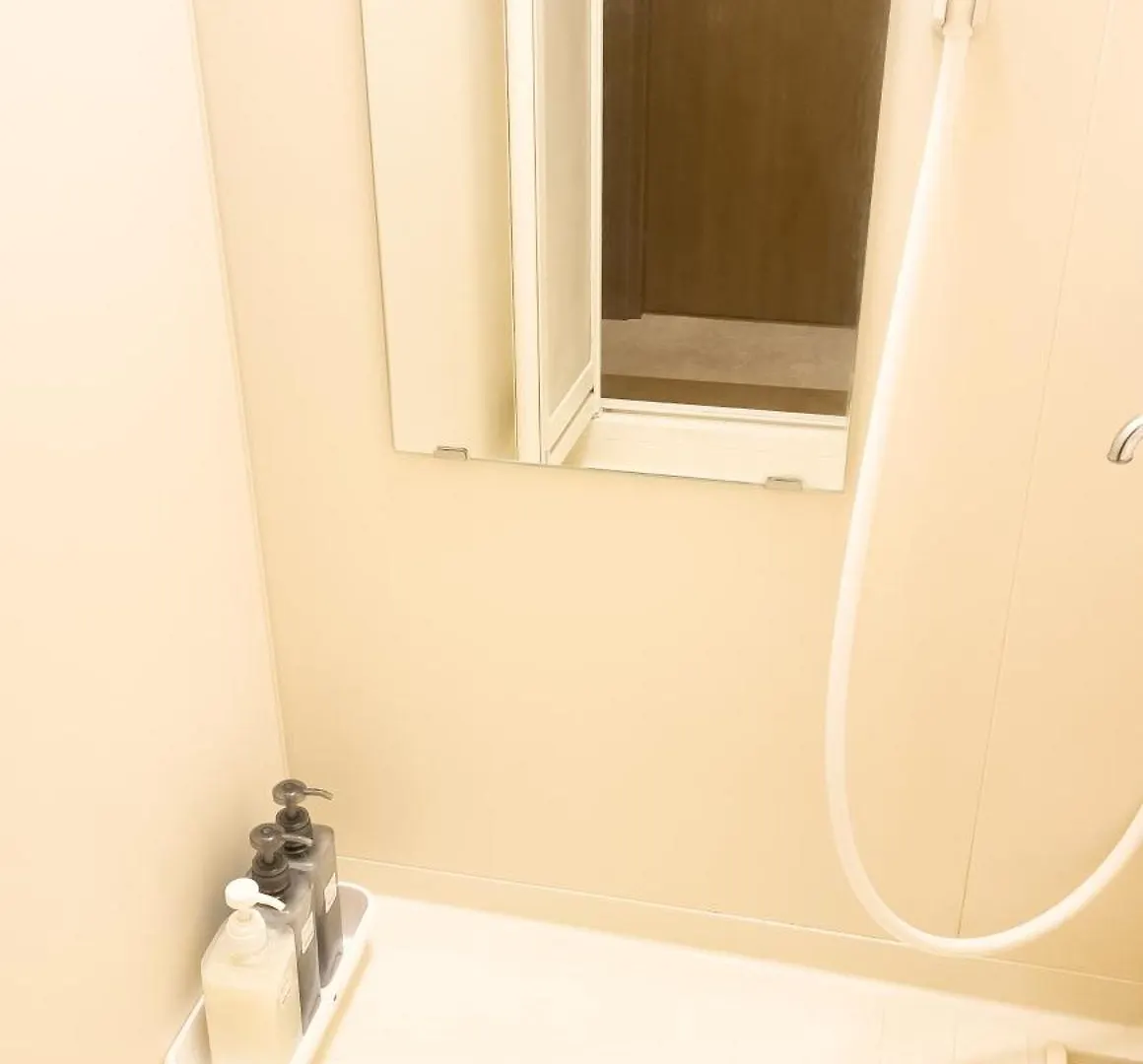 Maison Yachiyo 43M2 1 Bedroom Apartment Tokyo